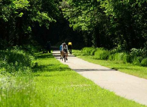 Chief Ladiga Trail Borden Springs